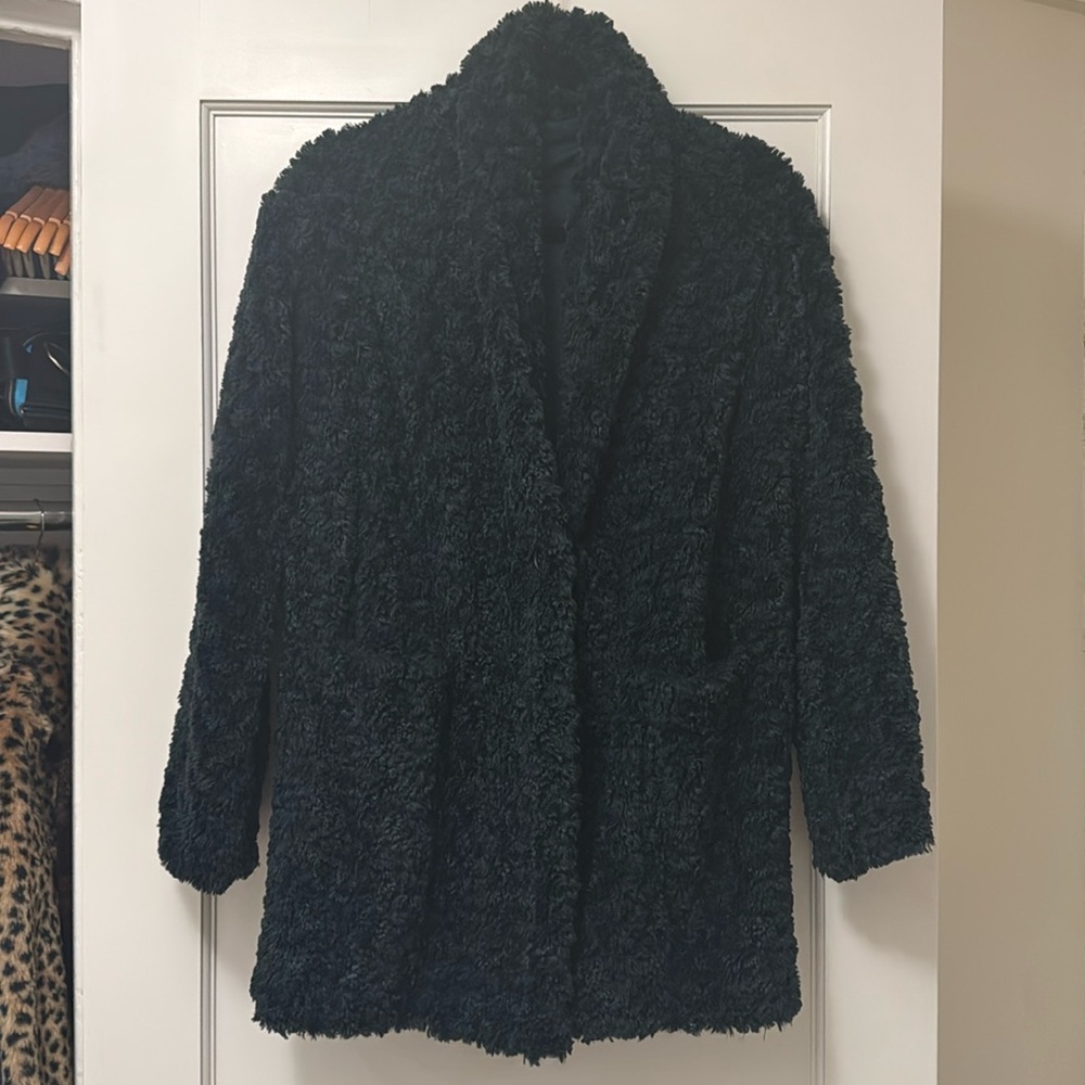 Aritzia Teddy Coat